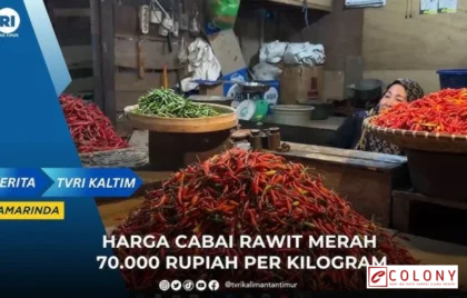 harga cabai rawit kalimantan timur