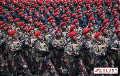 hibah tanah 3 hektare