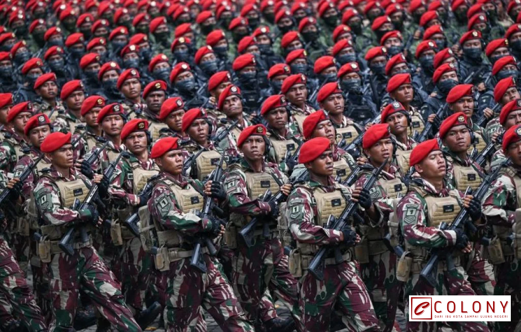 hibah tanah 3 hektare