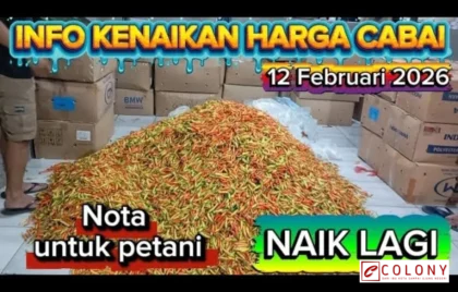 kenaikan bahan baku polyester