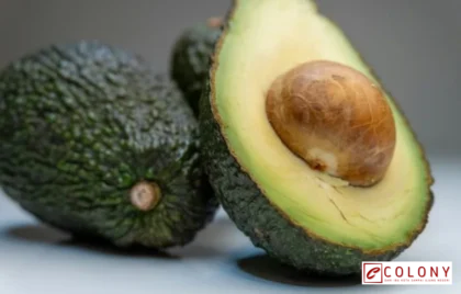 kombinasi alpukat untuk otak