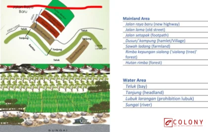 larangan sawah baru di hutan