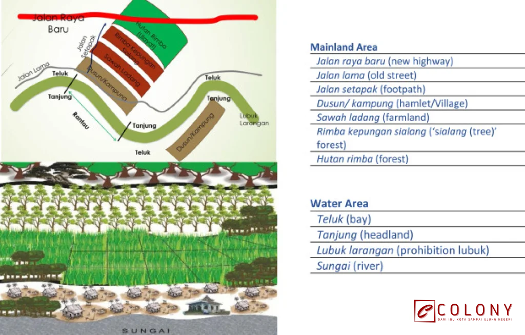 larangan sawah baru di hutan