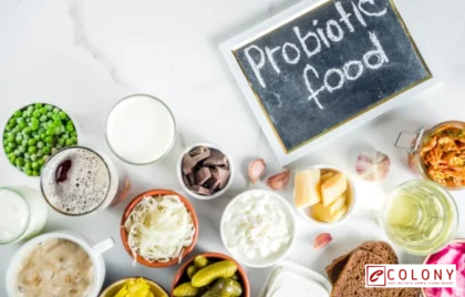 makanan mengandung probiotik