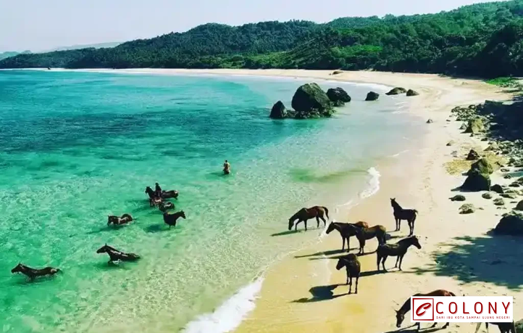 Pantai Nihiwatu Sumba Wisata Mewah