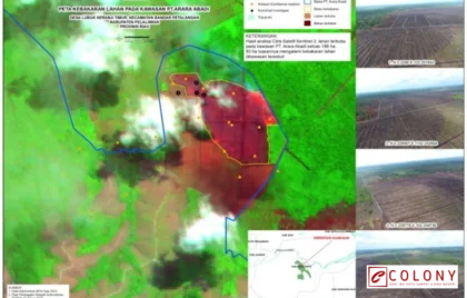 pembakaran lahan di Rohil Riau