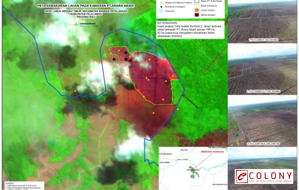 pembakaran lahan di Rohil Riau