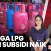 harga LPG non subsidi naik