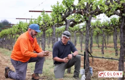 monitoring sistem IT dan AI