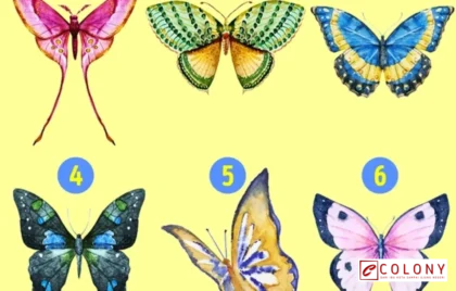 tes kepribadian kupu-kupu