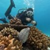 Wisata Scuba di Indonesia, Menjelajah Keindahan Laut dari Sabang hingga Papua