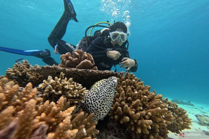 Wisata Scuba di Indonesia, Menjelajah Keindahan Laut dari Sabang hingga Papua